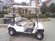 CE Approved 2 Person Electric Mini Golf Carts 48V Free-Maintenance Battery Electric Vehicle