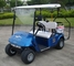 CE Approved 2 Person Electric Mini Golf Carts 48V Free-Maintenance Battery Electric Vehicle