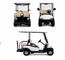 Small Electric Four Passenger Golf Cart With 48V DC Motor UL Approved White Color