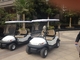 Small Electric Four Passenger Golf Cart With 48V DC Motor UL Approved White Color