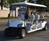 Light Green Electric 6 Passenger Golf Carts With 48 Voltage 4KW Curtis Controller