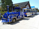 Eco Friendly 42 Passenger Electric Trackless Train For Sightseeing Customized Color