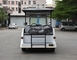 Sightseeing 11 Seats Electric Vintage Cars with Corrosion Resistance Body CE Approved