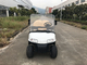 Installed With Plastic Cargo Box Small Electric Golf Carts 6 Seats Without Car Ceiling