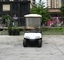 2 Seats Small Cargo Vehicle Electric Golf Cart With Stainless Steel Container For Hotel